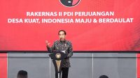 PDIP2