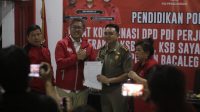pdip