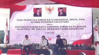 Anggrek