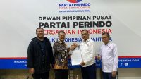 Perindo