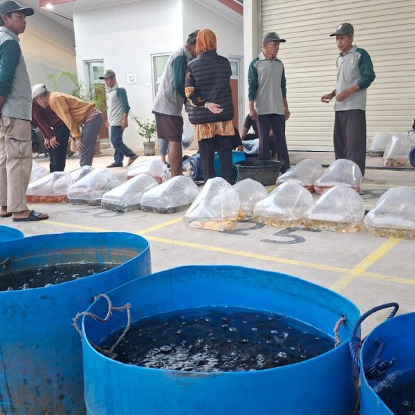 Pasar