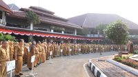 Sekda